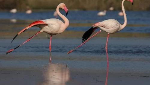 Sun Sea house - Foto 2