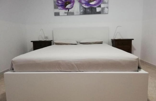 Casa del Erizo - Ecofinca - Foto 14