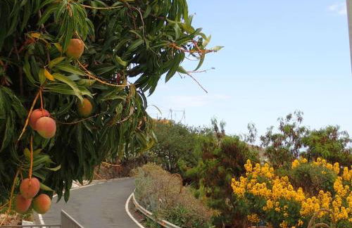 DRAGO 100, quiet and friendly - Foto 50