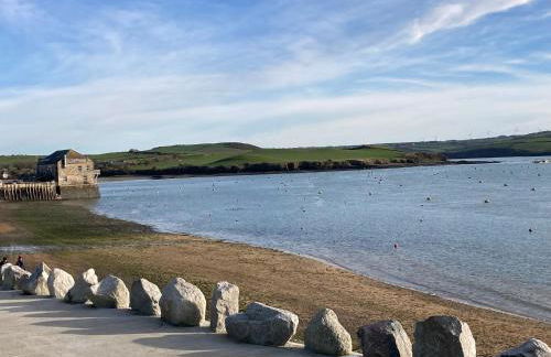 Hollyhocks - Foto 21