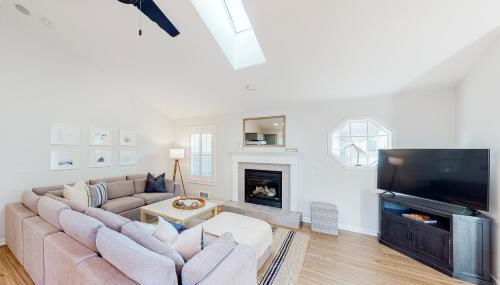 The Surfbird - Foto 3