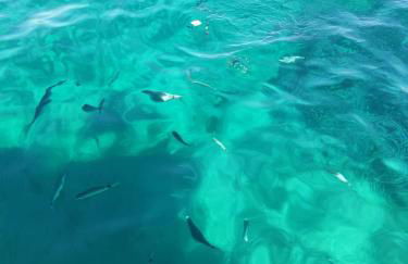 Casa girasole - Foto 10