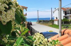 Amber Blue - Photo 6