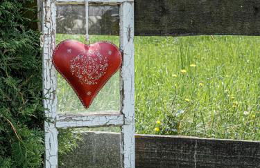 Ferienwohnung Liebelt in Mitgenfeld , bayerische Rhön - Foto 22