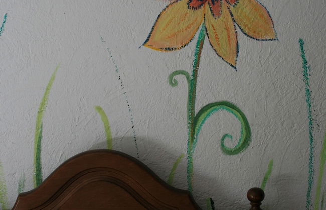 Agroturismo Amalau - Photo 13