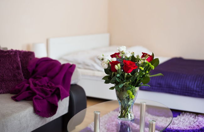 Aparthouse Apartamenty Sosnowiec - Photo 7