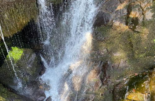 Appartement Bergwaerts - Foto 36