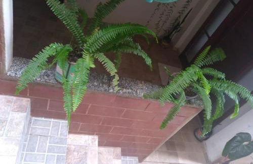 Maxi conforto e vista para o Itacolomi - Foto 38