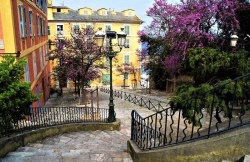 Les bougainvilliers - Foto 29