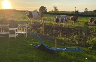 Farm Stay at THE GLEBE COTTAGE KILREA - Foto 44