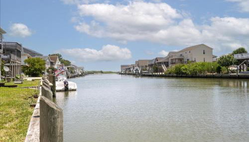 Octopus's Garden - Foto 5