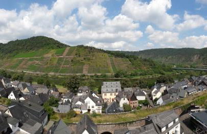 Ferienwohnungen Am Bruttiger Moselsteig - Foto 47