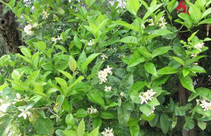 Palirria Hotel & Studios - Photo 56