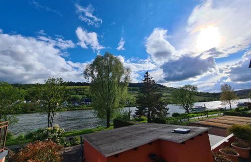 Weingut-Gästehaus-Haas - Foto 13