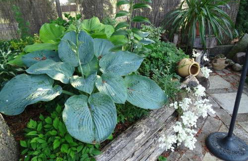 Ferienwohnung Lotte - Foto 42