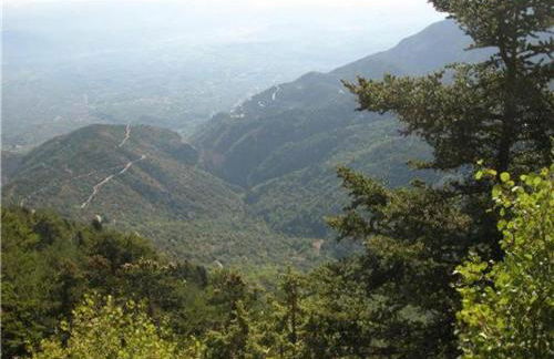 Kastorio-Villy's Guest House - Foto 70