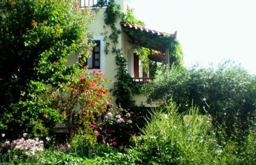 Tiki Rooms - Foto 25