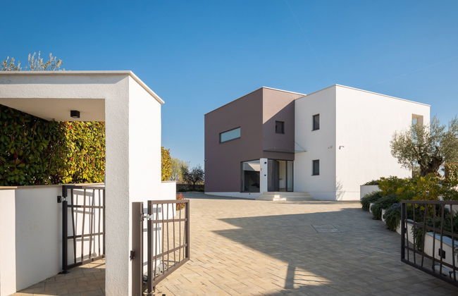 Old Olive VIII - Foto 45