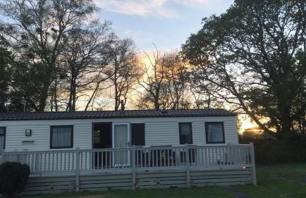 Poppy at Oakdene Forest Park - Foto 13