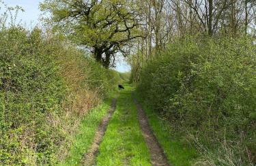 Entire flat 2 to 4 pers 1 bed 1 bath disabled access for limited disability - Foto 32