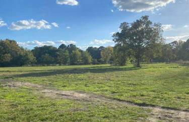 Pecan Grove Cabin - Foto 19