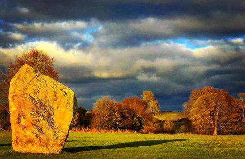 The Cottage - Photo 24