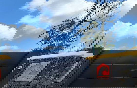 Parrots Village - Foto 1