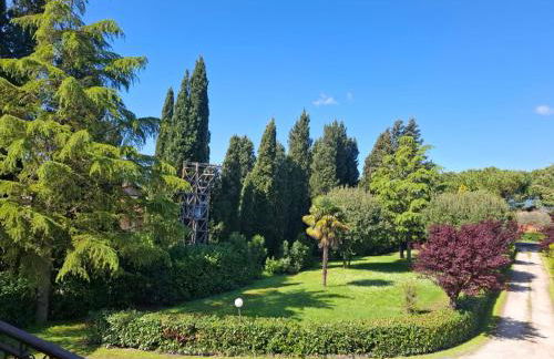 L'Olivo , in Tuscany - Photo 11