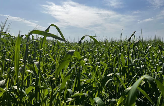 The Crooked Gate - Luxury Romantic Getaway - Foto 78