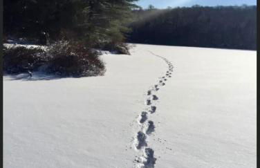 Cozy Creek House - Foto 55