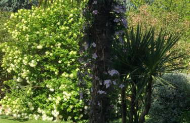 Gites le Pimayon - Foto 18