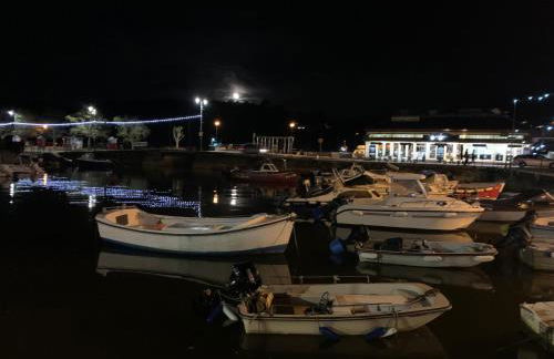 Dartmouth 2 Bed Detached Chalet 144 Norton Park - Foto 33