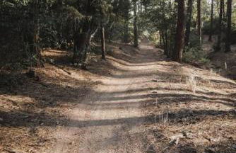 Fawn Chalet in the Prescott Pines Near Downtown - Foto 15