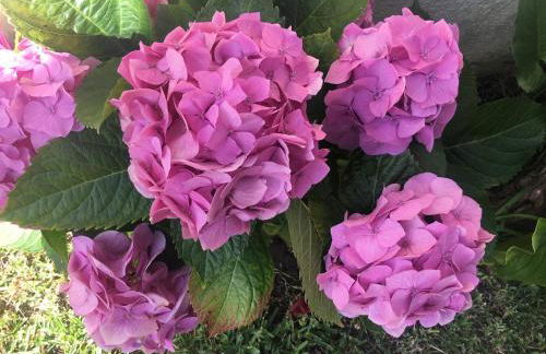 Bunker 11 Surf House - Foto 28