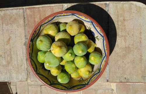 Casa do Sul - Foto 28