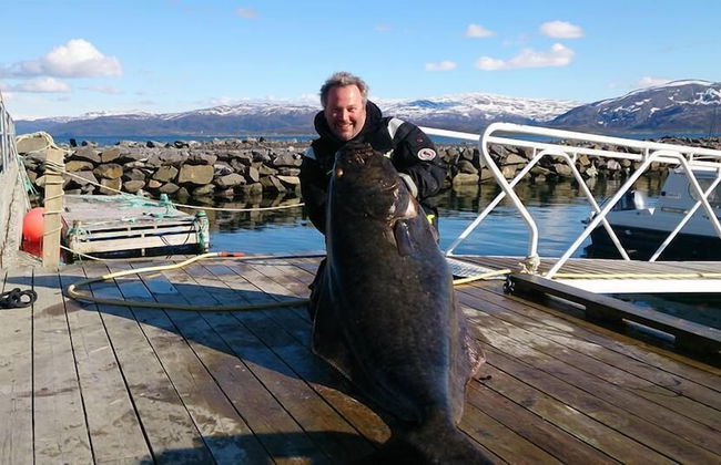 Arctic Seasport - Foto 60