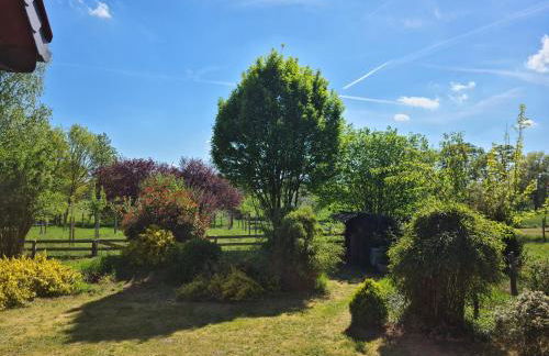 Endeholzer Fuchsbau - Foto 15