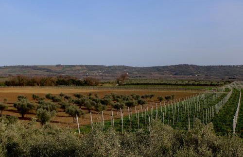 TENUTA FATTORE - Foto 6