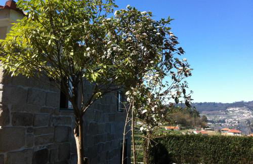 Casa de Ladrido - Foto 62