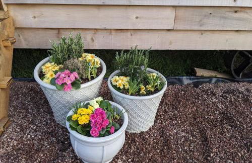 Cosy Owl - Shepherds Hut - Foto 19