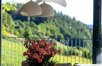 Pagorek Villa & Relax - Foto 35