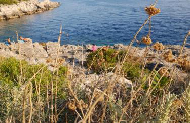 villa flores - Foto 7