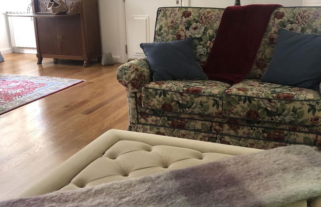 Quintinha de Palmyra - Foto 6