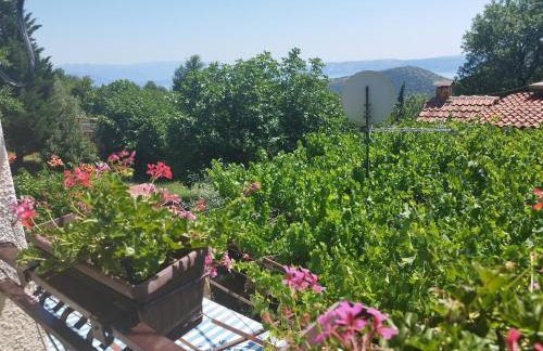 Apartment Zorka - Foto 30