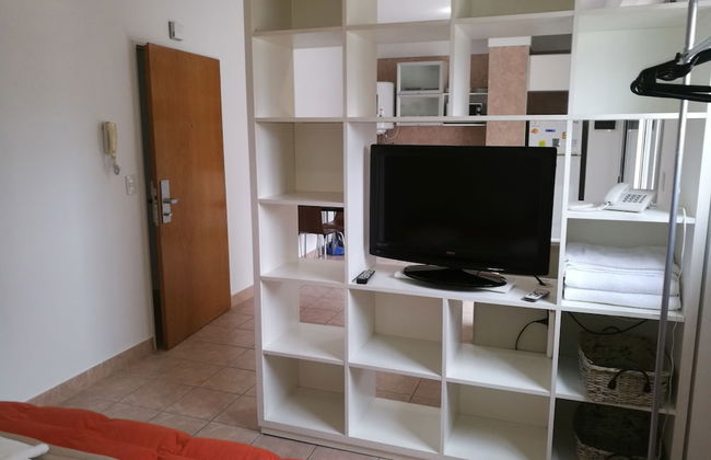 Color Botanico - Photo 11