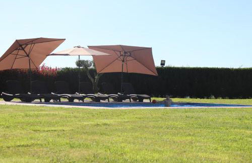 Quinta do Perguntouro - Foto 12