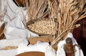 Agriturismo Baglio Fontana - Foto 24