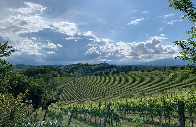 Premium Private Prosecco Hills Tour - 2 Cantine. Tour privato. - Foto 8