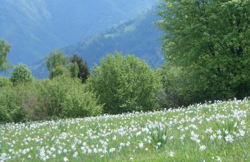 Agriturismo La Casa Nei Boschi - Foto 63
