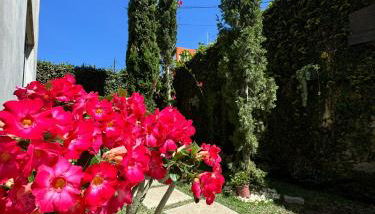 Flat Garoa Recanto Florah - Foto 4